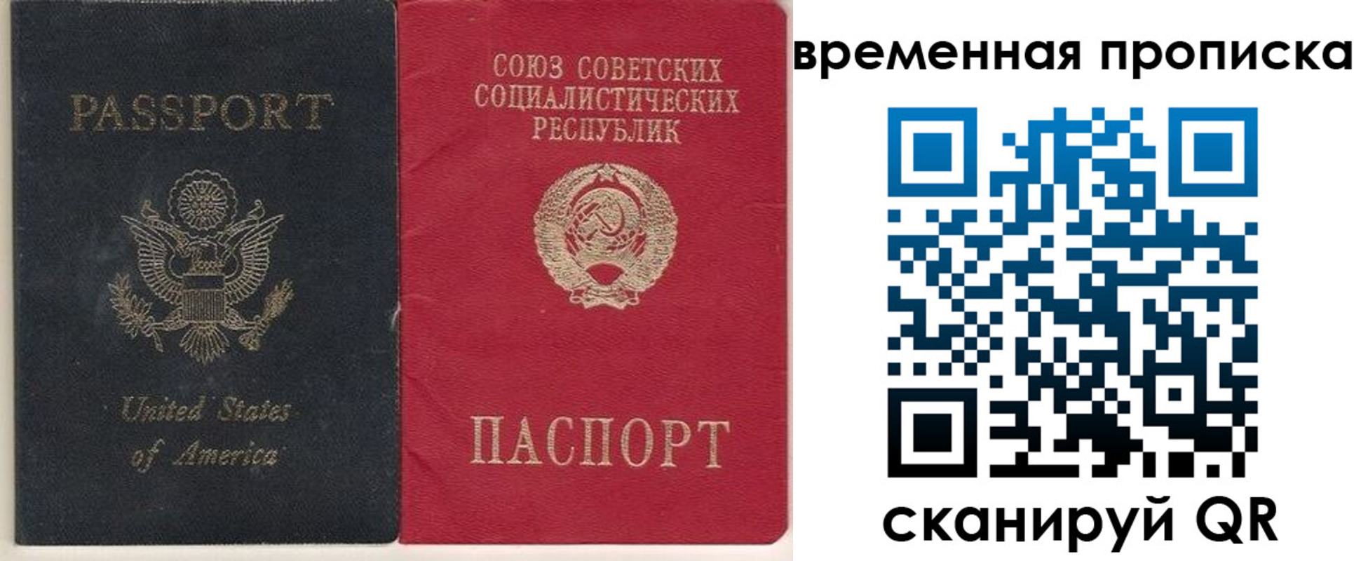 прописка для школы в Петухово